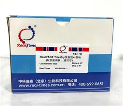 8%RealPAGE Tris-Glycine預制膠（塑料板） 15孔